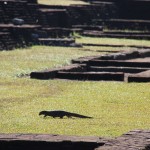 Sigiriya2