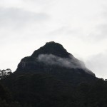 Le fameux sommet - Adam's peak!