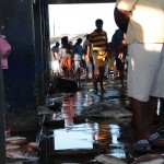 La criée aux poissons (même des requins et des raies!) Pour info, le kilo de thon frais est vendu 2,50€...