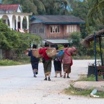 Luang Namtha: les femmes rentrent des champs.