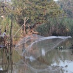 La pêche du matin