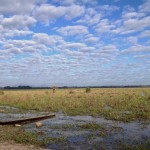 Le "bateau" qui nous emmène au coeur des wetlands