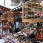 Le marché aux oiseaux