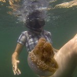 Un bain dans le lac aux méduses !