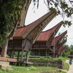 Les maisons traditionnelles torajas, appelées Tongkonan