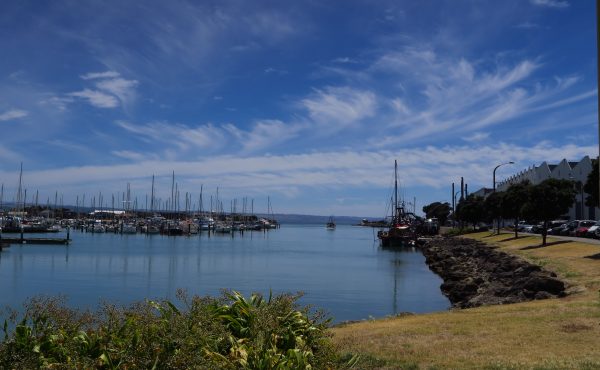 Le port de Napier