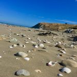 La plage, sauvage