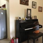 Une prédisposition pour le piano ?