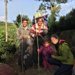 Rencontre avec les "pluckers" qui cueillent les feuilles de thé