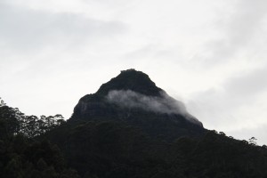 Le fameux sommet - Adam's peak!