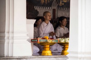 Une moinette bouddhiste: 95% de la population thaïlandaise est bouddhiste.