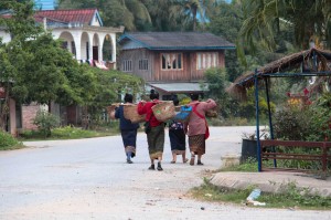 Luang Namtha: les femmes rentrent des champs.
