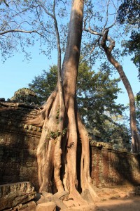 Cambodge24
