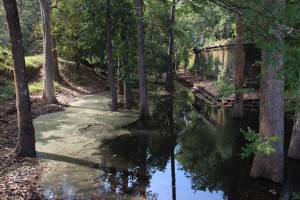 Cambodge25