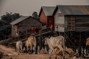 Cambodge38