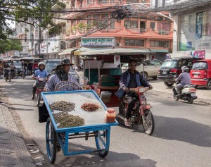 Un vendeur de coquillages
