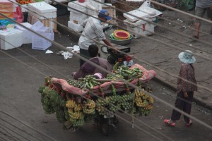 Cambodge6