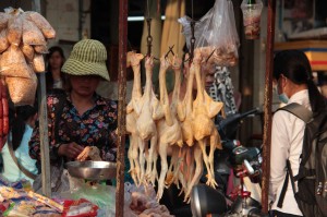 Cambodge8