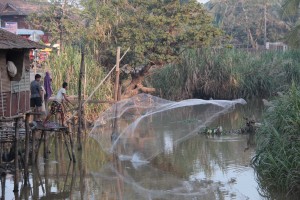 La pêche du matin