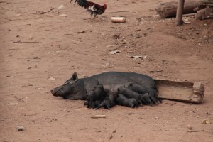 Laos2_7