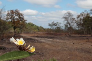Laos3_17