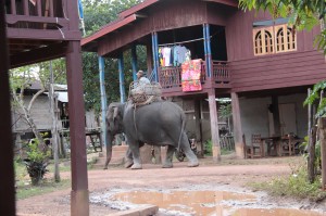 Laos3_20