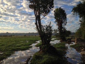 Laos3_5