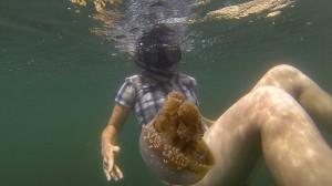 Un bain dans le lac aux méduses !